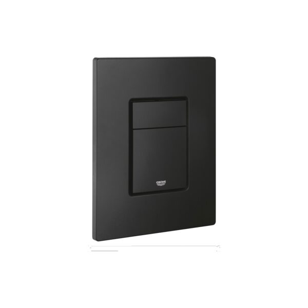 Flush Plate · Black
