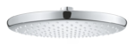 Tempesta 250 Head Shower 1 Spray