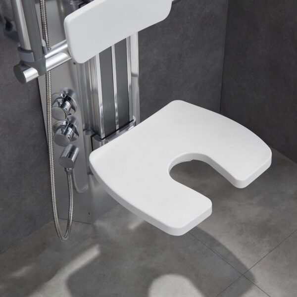 Handicap Shower System with Seat & Arms