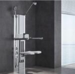 Handicap Shower System with Seat & Arms
