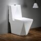 Diamond Toilet