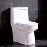 Modern Toilet