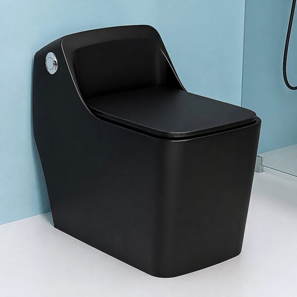 One Piece Toilet · Black