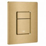 Skate Cosmopolitan Flush Plate – Brushed Cool Sunrise